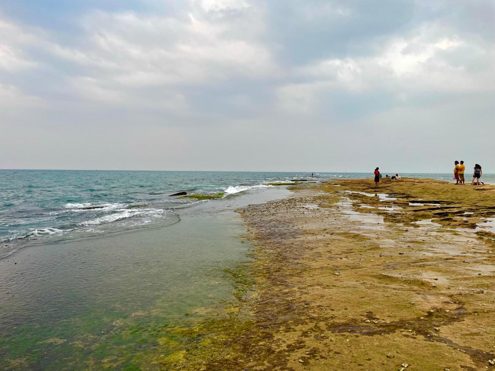 Negombo Morawala Beach Villa Dış mekan fotoğraf